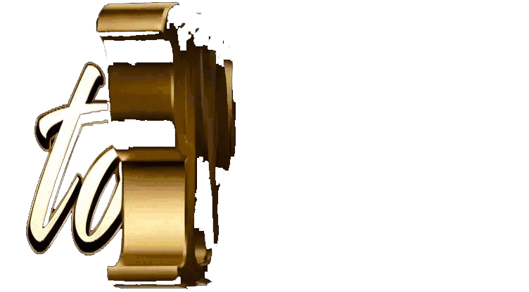 logo-TOTOVIP